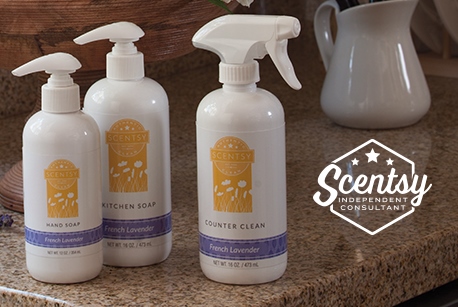 Scentsy Clean Soaps & Cleansers