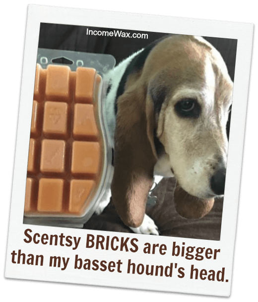 How many bars in a scentsy brick
